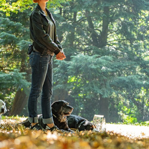 Gruppenunterricht - Hundehalterschule Hamburg